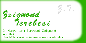 zsigmond terebesi business card